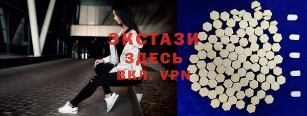 ECSTASY Болотное