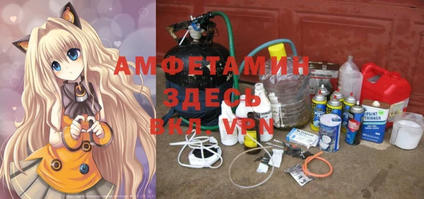 ГАЛЛЮЦИНОГЕННЫЕ ГРИБЫ Абаза