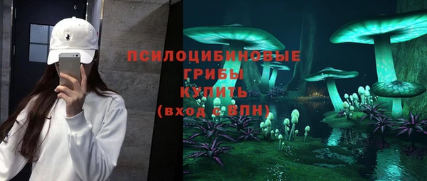 мет Болхов