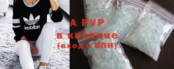 ГАЛЛЮЦИНОГЕННЫЕ ГРИБЫ Абаза