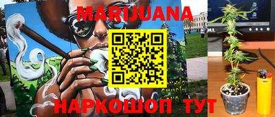 гидропоника Ирбит