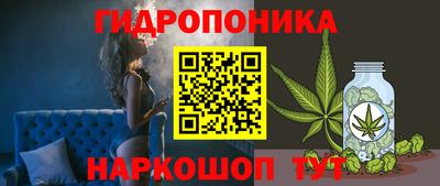 гидропоника Ирбит