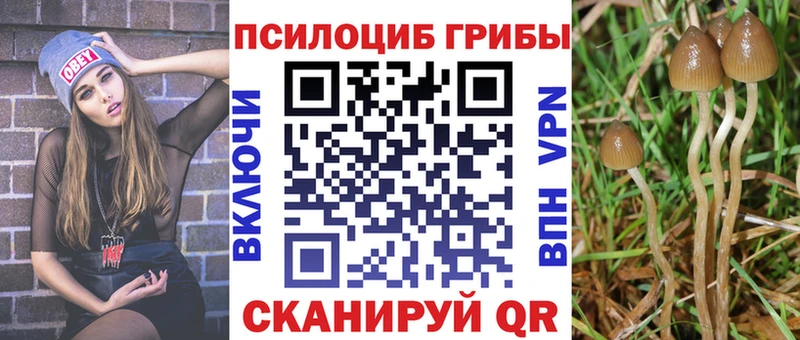 продажа наркотиков  Отрадный  Галлюциногенные грибы MAGIC MUSHROOMS 