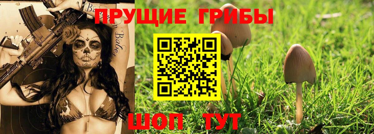 Псилоцибиновые грибы Psilocybine cubensis Отрадный