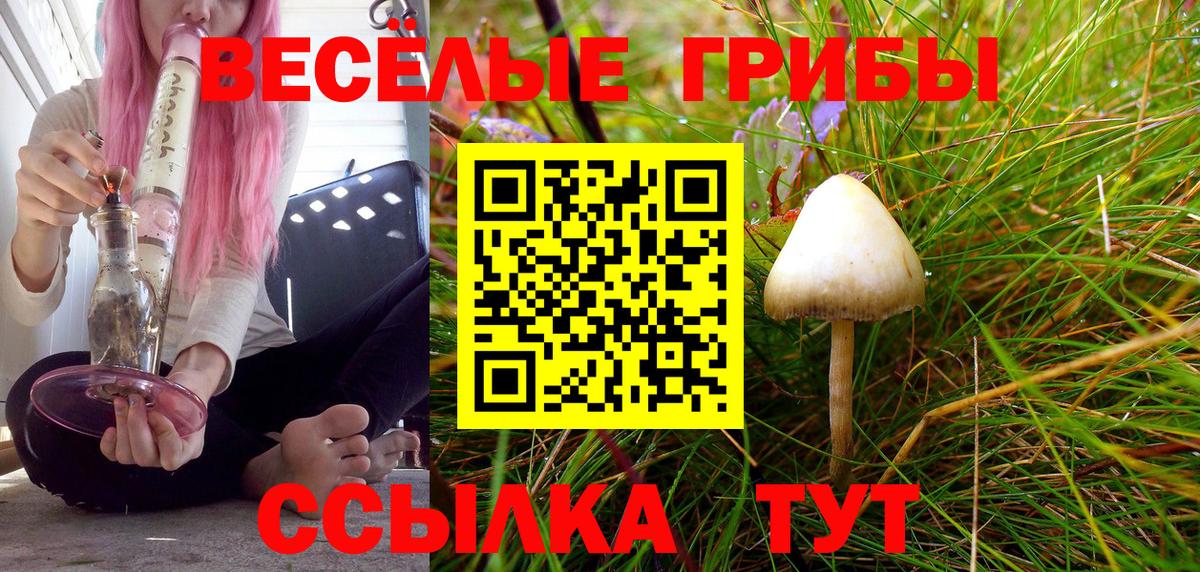Псилоцибиновые грибы Magic Shrooms  Вход с VPN  Отрадный  Псилоцибиновые грибы GOLDEN TEACHER 